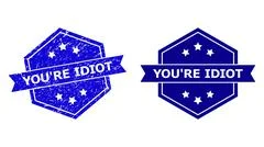 You are an idiot rubber stamp Royalty Free Vector Image