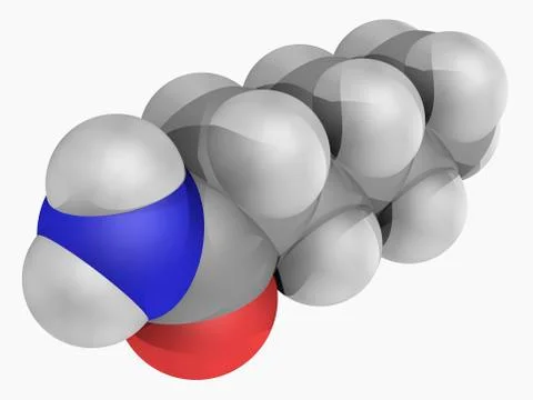 Hexanamide molecule Stock Illustration