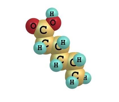 Hexanoic acid molecule isolated on white Stock Illustration