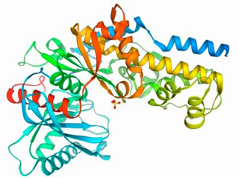 Hexokinase sugar enzyme Stock Illustration