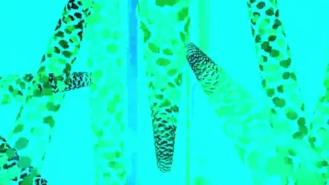 Hexxa visuals turning pipes of hexagonal shapes flashing on the beat Stock Footage 69211476