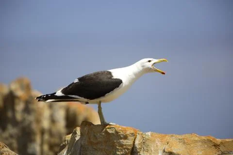 Hey, Listen Up! Stock Photos