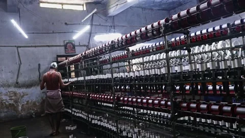Hey spin cocoons around themselves using a long silk thread produced from their 库存影片 340491841