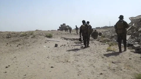 Hezbollah Brigades infantry advancing in Fallujah outskirts, Iraq Video stock 148900973