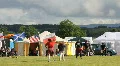 HG caber tossing 1 HD Footage