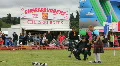 HG stone putt HD Footage