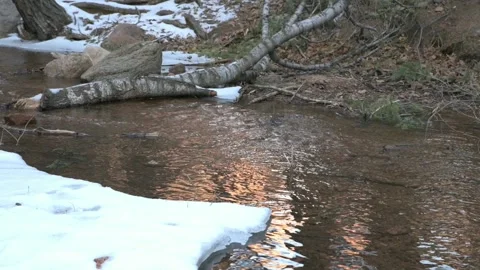 HH creek 4 Video stock 229592863