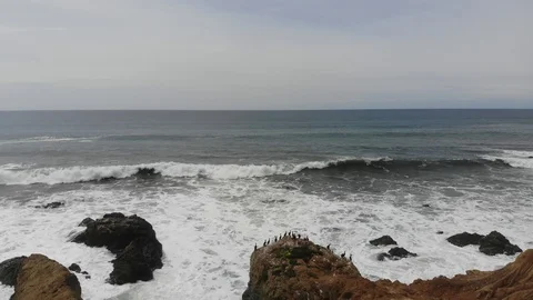 HHC181_Getting closer to a group of birds nested on rock, cliffside, mountains. Stock Footage 116856674