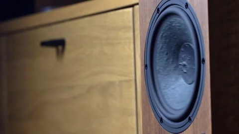 Hi-Fi Speaker Membrane Vibrating from Deep Bass Sound Video stock 306234312