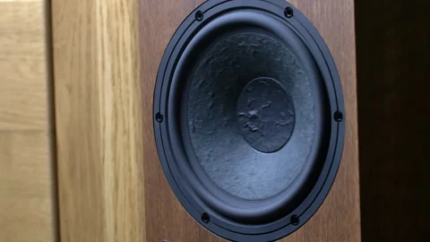 Hi-Fi Speaker Membrane Vibrating from Deep Bass Sound Stock Footage 306234329