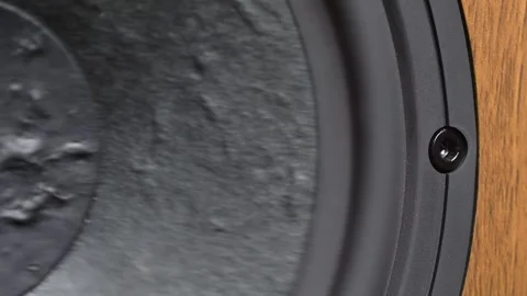 Hi-Fi Speaker Membrane Vibrating from Deep Bass Sound Stock Footage 306234331