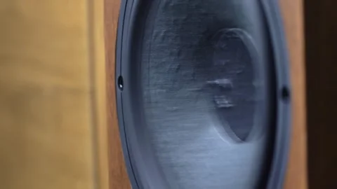 Hi-Fi Speaker Membrane Vibrating from Deep Bass Sound Stock Footage 306234341