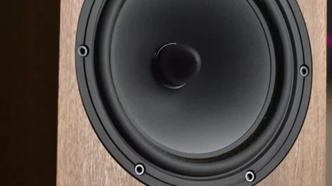 Hi-Fi Speaker Membrane Vibrating from Deep Bass Sound Stock Footage 306234347