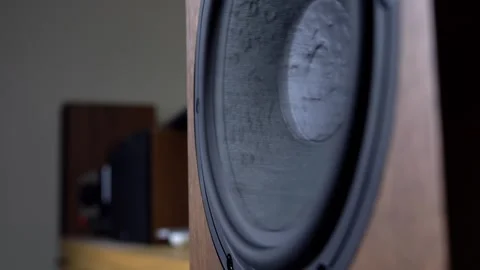 Hi-Fi Speaker Membrane Vibrating from Deep Bass Sound Stock Footage 306234447