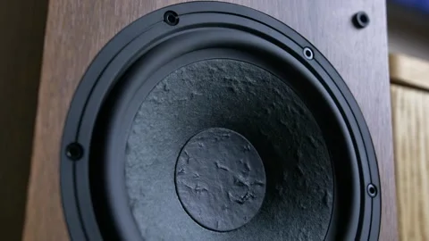 Hi-Fi Speaker Membrane Vibrating from Deep Bass Sound Stock Footage 306234449