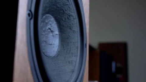 Hi-Fi Speaker Membrane Vibrating from Deep Bass Sound Stock Footage 306234508