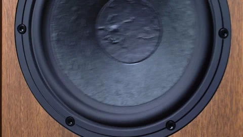 Hi-Fi Speaker Membrane Vibrating from Deep Bass Sound Stock Footage 306234688
