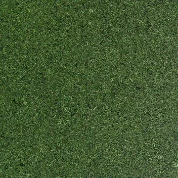 Hi res grass texture Stock Illustration