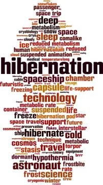 Hibernation word cloud Stock Illustration