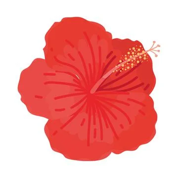 Hibiscus flower icon Illustration