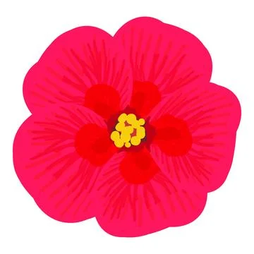 Hibiscus flower icon isometric vector. Bright red blooming hibiscus flower icon Illustration