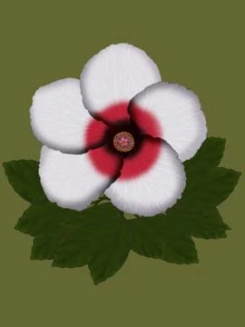 Hibiscus flower Stock Illustration