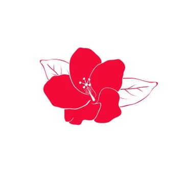 Hibiscus flower Stock Illustration