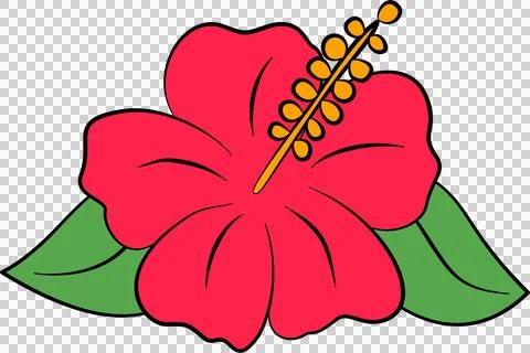 Hibiscus flower Stock-Illustration