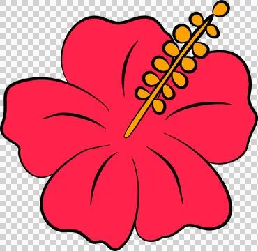 Hibiscus flower Stock-Illustration