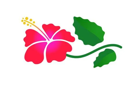 Hibiscus flower with leaves on a stem. Vector illustration isolated on white. Stock Illustration