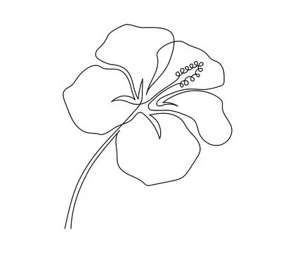 Hibiscus flower in one continuous line drawing. Floral abstract symbol in simple Stock Illustration