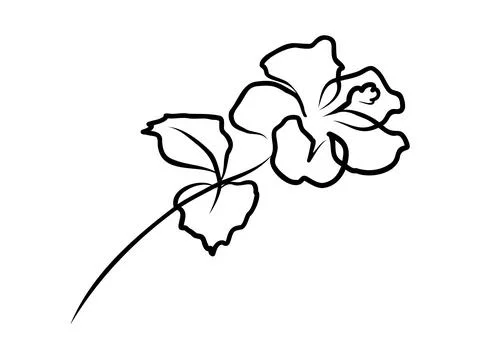 Hibiscus flower in one continuous line drawing. Floral abstract symbol in simple Stock Illustration