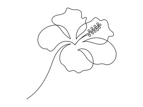 Hibiscus flower in one continuous line drawing. Floral abstract symbol in simple Stock Illustration