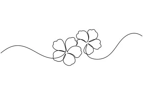 Hibiscus flower one line drawing in minimalist style isolated on white back.. Illustrazione stock