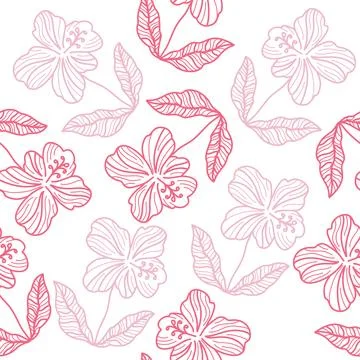 Hibiscus Flower Pattern. Hand Drawn Seamless Floral Pattern Stock Illustration