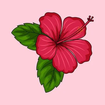 Hibiscus Flower Red Stock Illustration