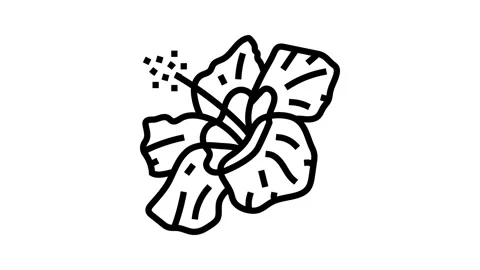 Hibiscus flower spring line icon animation Stock Footage 326135367