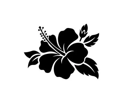 Hibiscus flower stencil on a white background   Stock Illustration