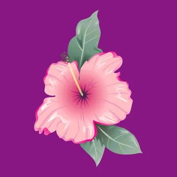 Hibiscus flower vector art Stock Illustration