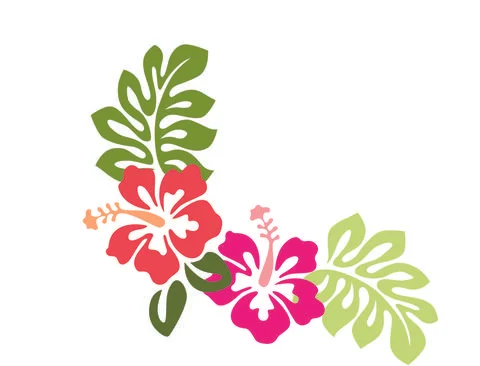 Hibiscus Flower Vector Stock Illustration