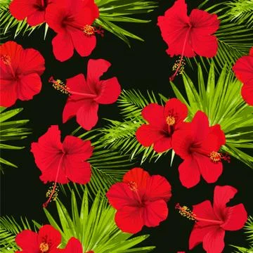 Hibiscus flower vector seamless pattern on a black background flowered tropical Stock Illustration