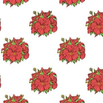Hibiscus flowers hand-drawing pattern on white background Stock Illustration