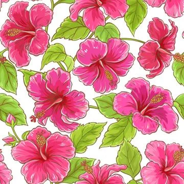 Hibiscus flowers pattern Stock Illustration
