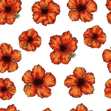 Hibiscus flowers seamless pattern background. Tender flowers. Stock Illustration