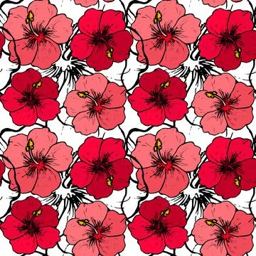Hibiscus flowers vector seamless pattern Stock Illustration