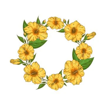 Hibiscus flowers wreath with leaves. Isolated on white background. Stock Illustration