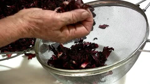 Hibiscus Stock-Footage 8838507