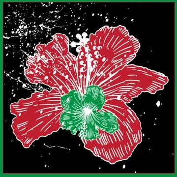 Hibiscus Stock Illustration