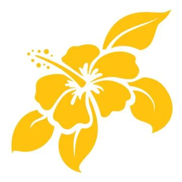 Hibiscus Stock Illustration