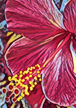 Hibiscus Stock Illustration